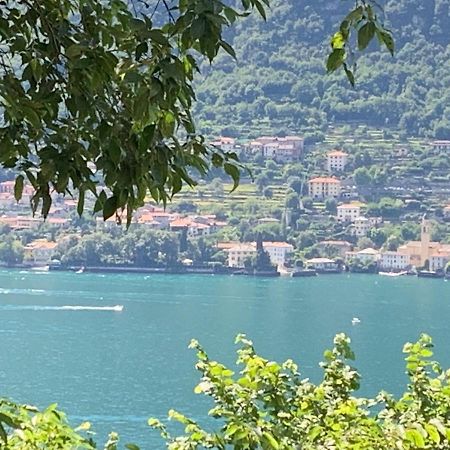 Apartment Casa Dono Il Lago Pognana Lario Exterior foto