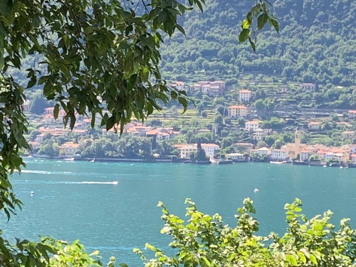 Apartment Casa Dono Il Lago Pognana Lario Exterior foto
