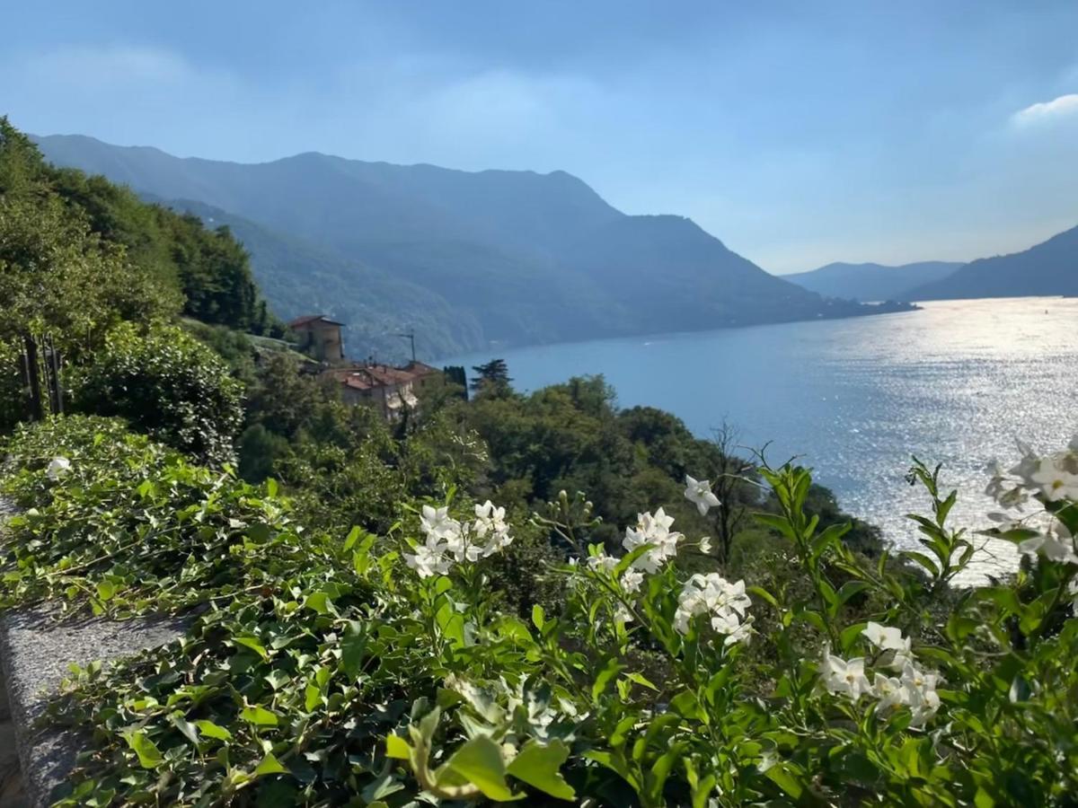 Apartment Casa Dono Il Lago Pognana Lario Exterior foto