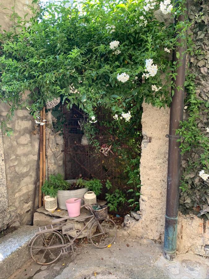 Apartment Casa Dono Il Lago Pognana Lario Exterior foto